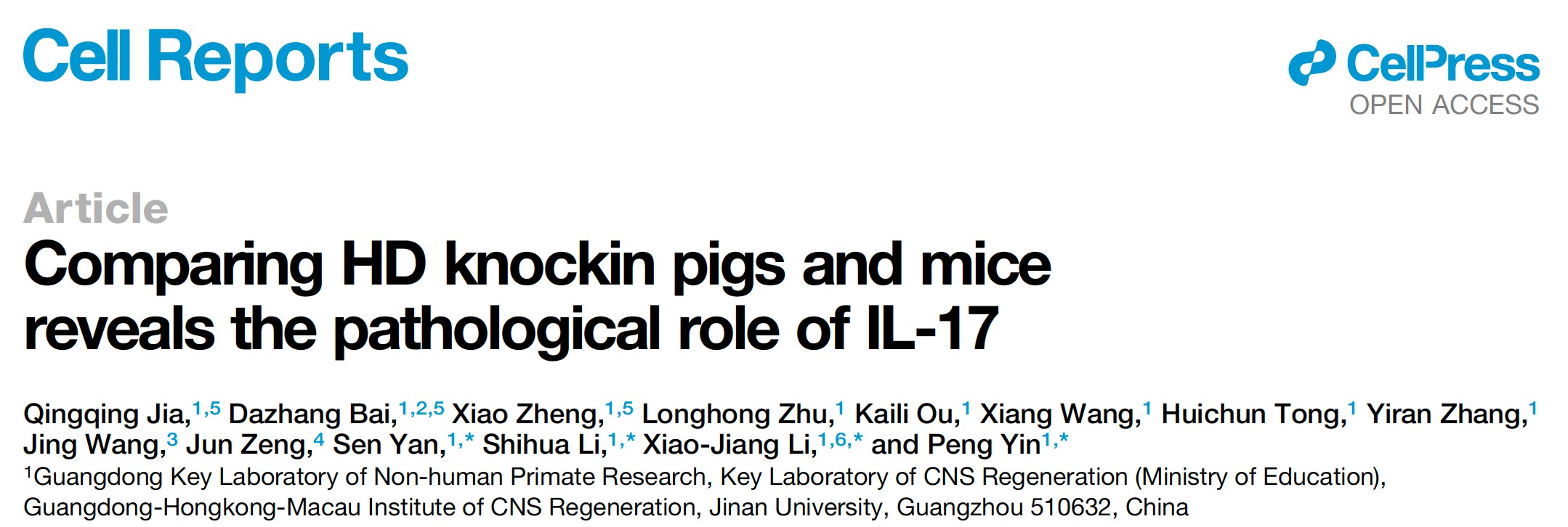粤港澳中枢神经再生研究院李晓江团队发表Cell Reports论文：比较亨廷顿疾病基因敲入猪和小鼠模型揭示了新病理机制