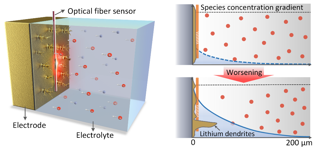 物理与光电工程学院郭团、麦耀华团队合作在Light: Science & Applications发表锂电池枝晶原位监测重要成果