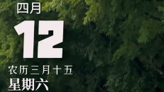 南国的雨说下就下，但我们都在悄悄扎根。晚安，暨南的你。