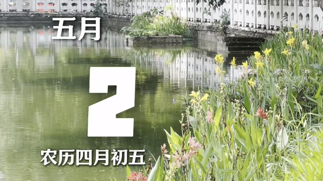 五一的星光点亮劳动赞歌，每一份拼搏都值得铭记。