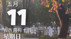 妈妈的爱，始终如影随形。祝天下母亲节日快乐。