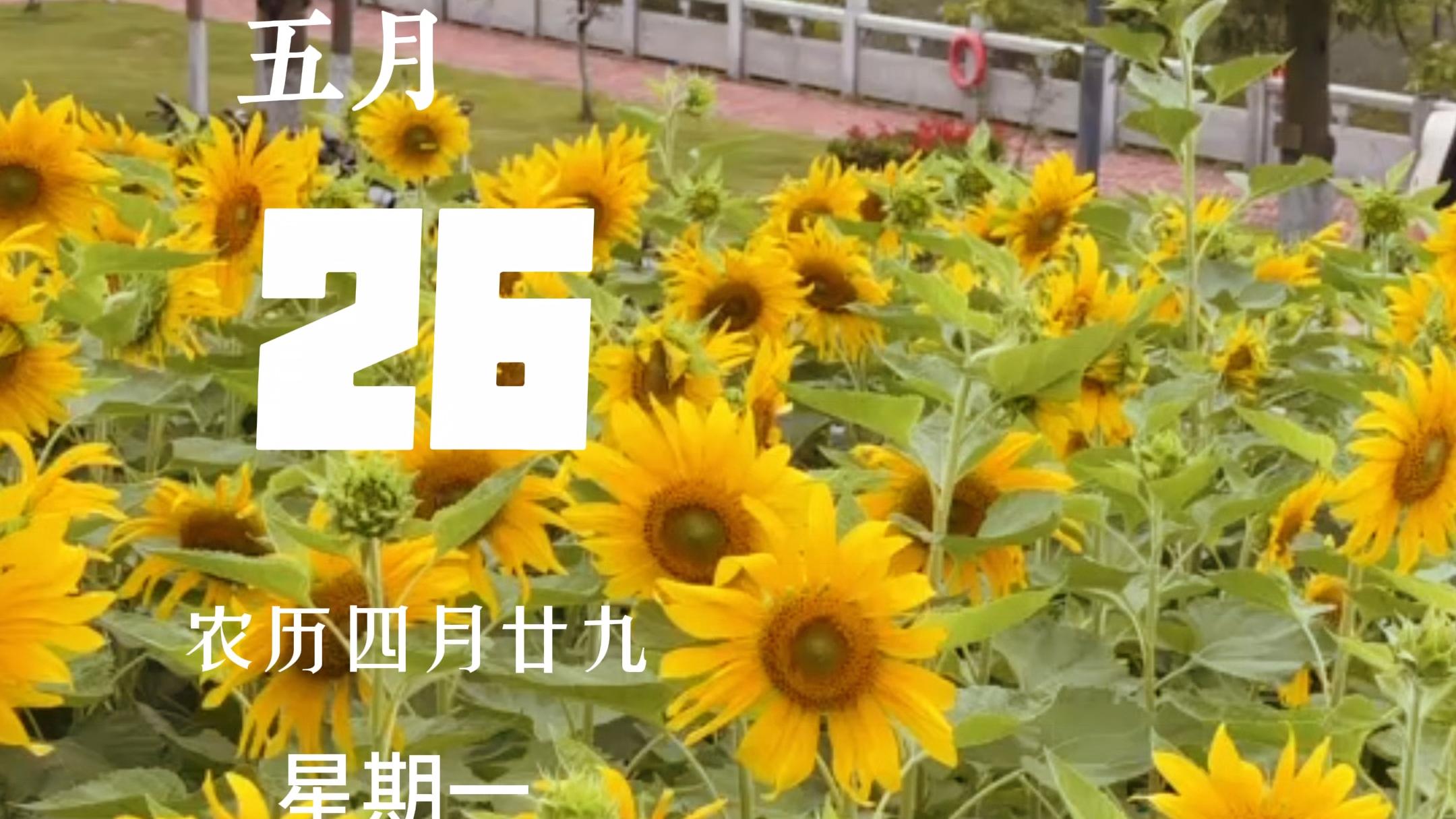 毕业亦是启程，让我们心向朝阳，奔赴山海，迎接属于我们最美好的明天。