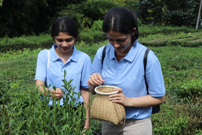 人坐在草地上 AI 生成的内容可能不正确。