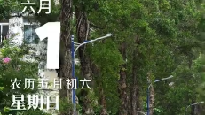 六一快乐，大小朋友。晚安，暨南的你。