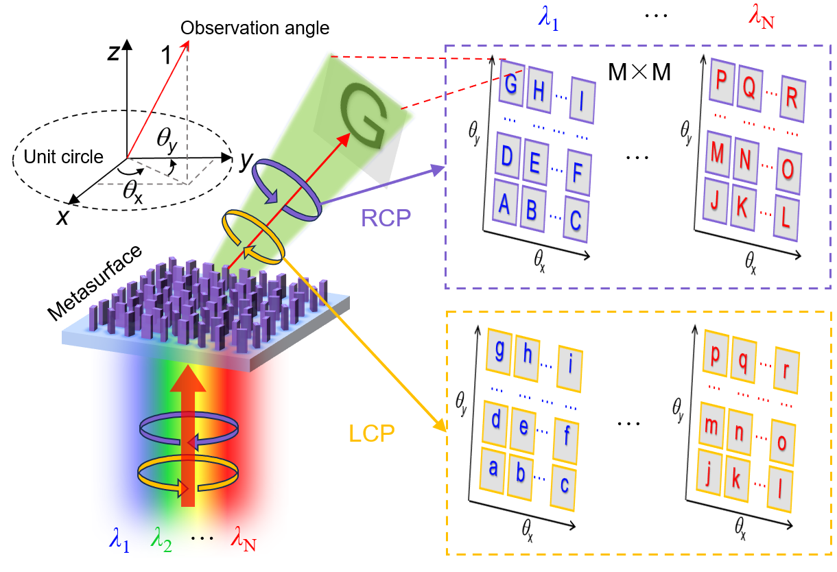 单个超构表面实现平面波全光参量(波长、偏振、观察角度)复用示意图。研究团队供图