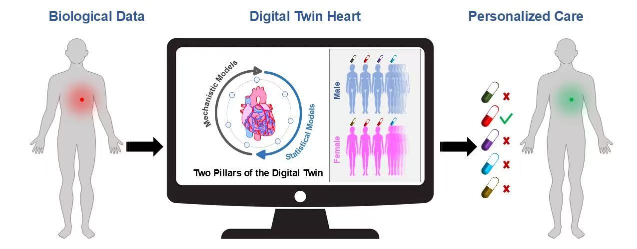 数字孪生技术在个性化用药应用的概略图。研究团队供图