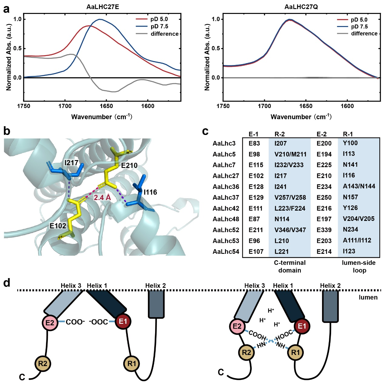 体外纯化光捕获蛋白的结构生物学特征与响应调控机制 配图4