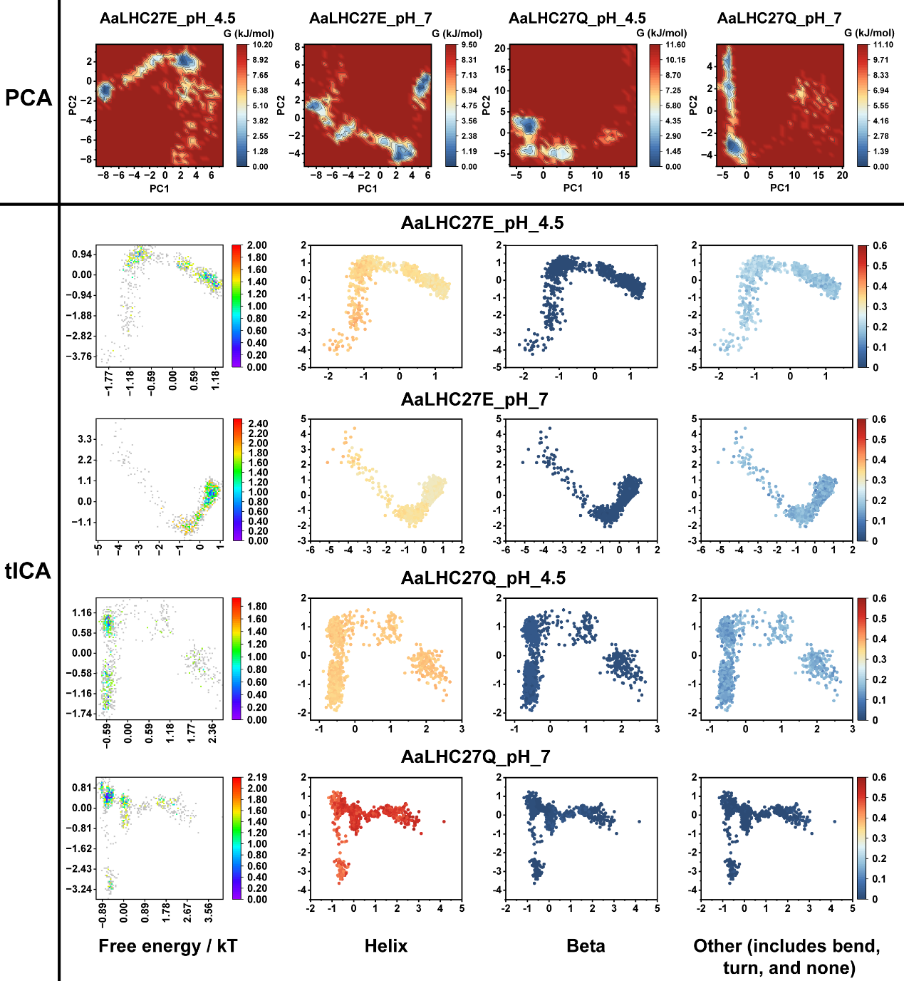 分子动力学分析光捕获蛋白关键调控位点的响应特征