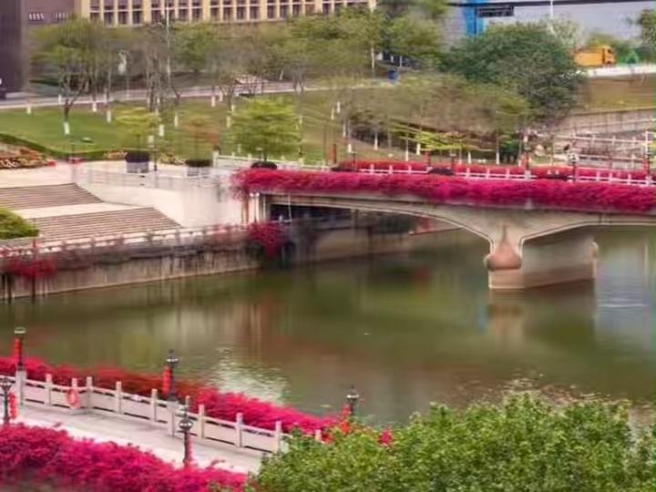 春分平分昼夜，亦平分期许。深耕当下，静待花开。晚安，暨南的你。#暨南大学#晚安暨南