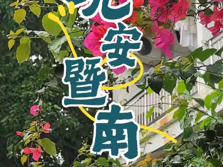 月光微凉，春草新生。今晚的暨南园，适合怀念，也适合拥抱眼前人。#暨南大学#晚安暨南