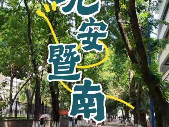 暨南春夜静谧，愿你睡得安稳，醒来依旧向阳。晚安，暨南的你。#暨南大学#晚安暨南
