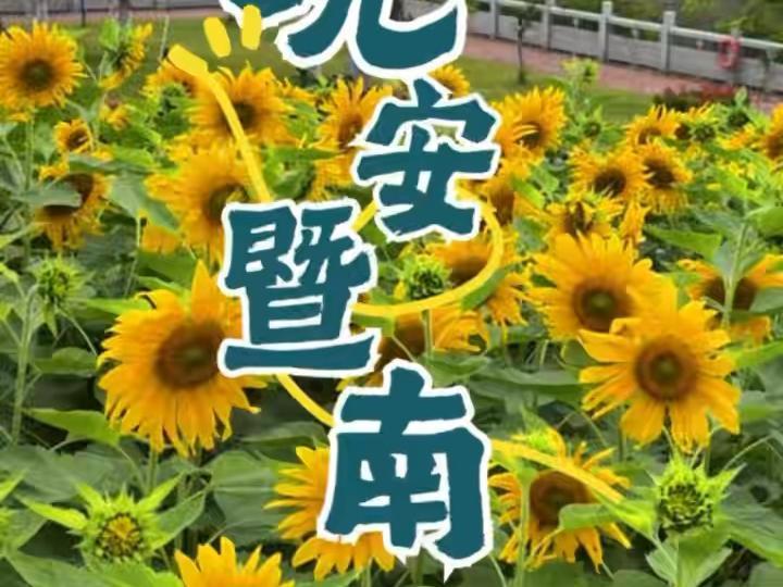 不只是今天，每一天都可以向妈妈说我爱你，祝愿天下母亲节日快乐。#暨南大学#晚安暨南