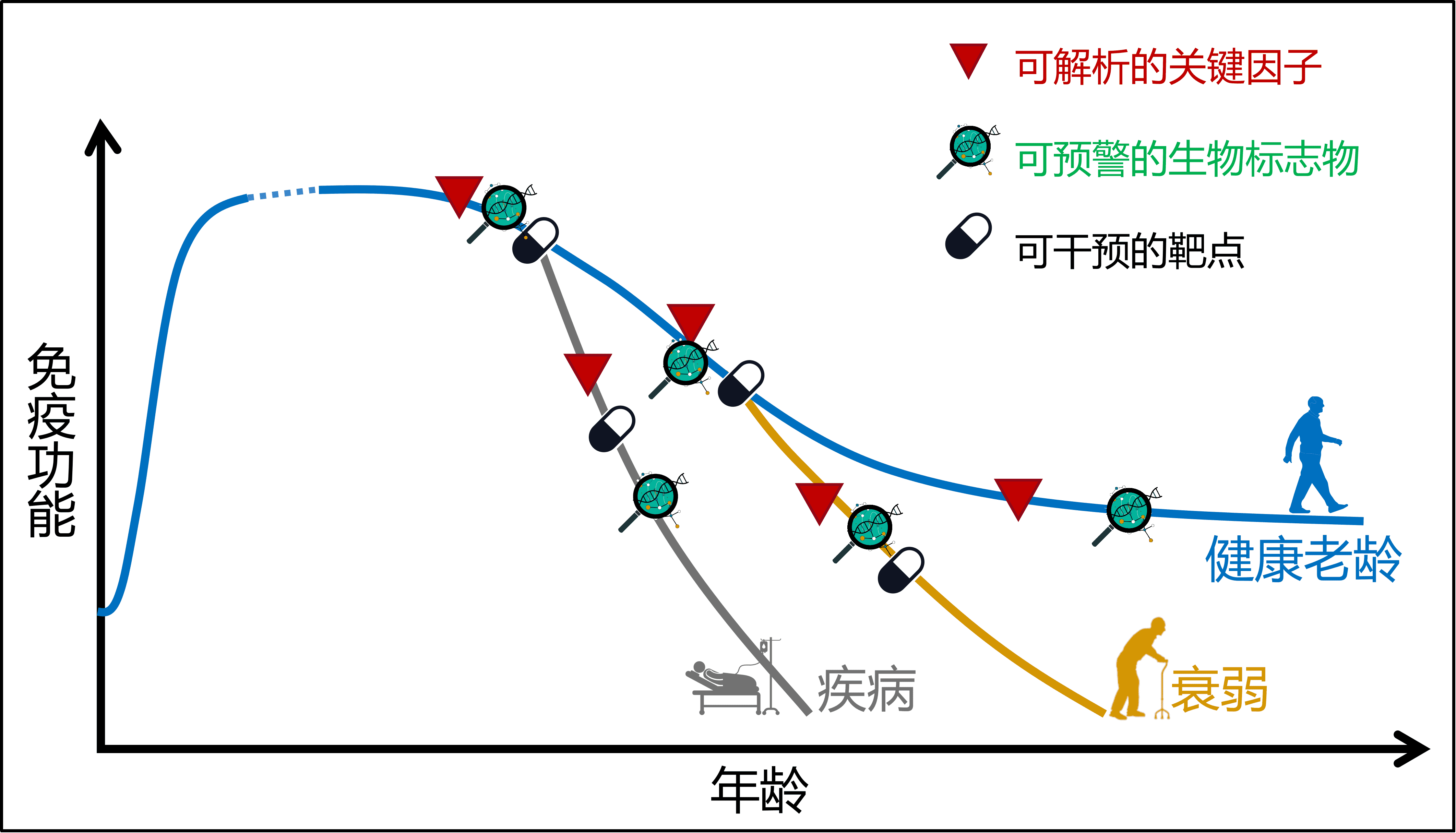 暨南大学陈国兵团队揭示阿尔茨海默病（AD）发生发展的关键分子机制