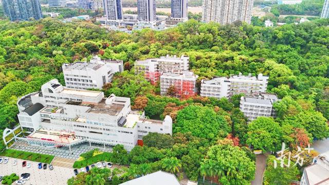 暨南大学深圳校区。