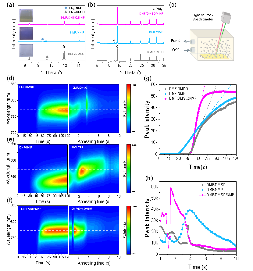 钙钛矿薄膜结晶成核与生长动力学原位监测 配图2