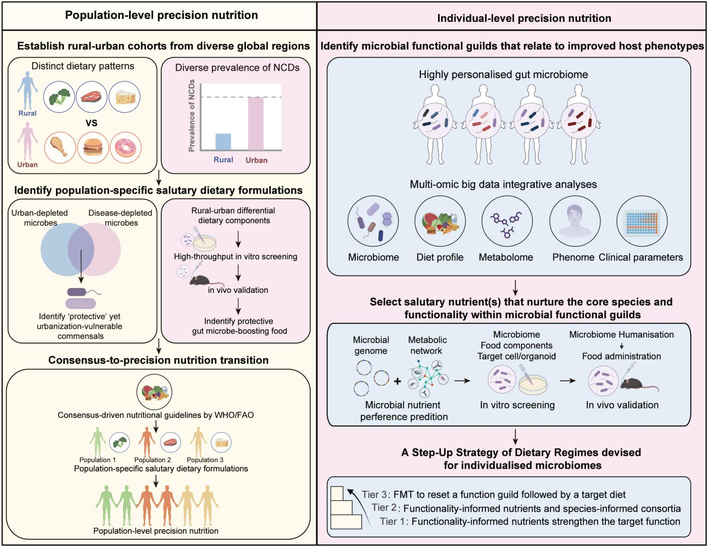 微生物组导向的精准营养双层框架 配图5